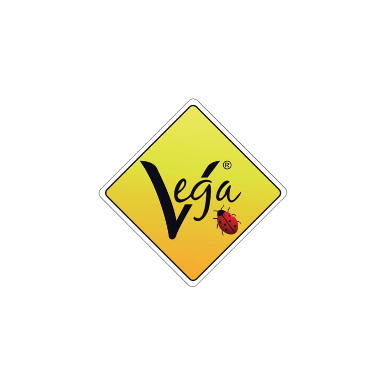 marchio Vega utensili come guanti, scarpe e abbigliamento edile da cantiere