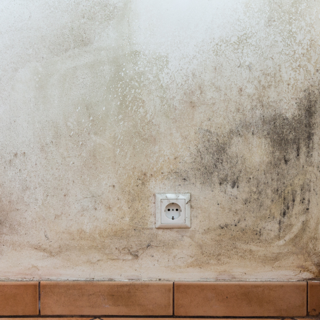 come togliere la muffa - primer of art e hydrowash